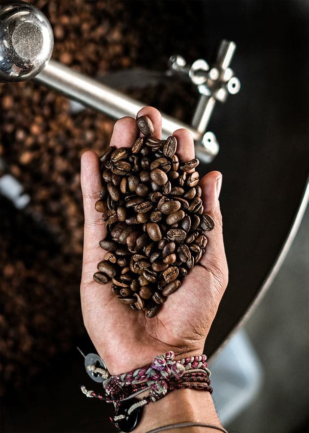 a hand holding coffee beans
