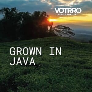 VOTRRO Coffee Roastery | Unleashed the Flavor, Savor the Experience